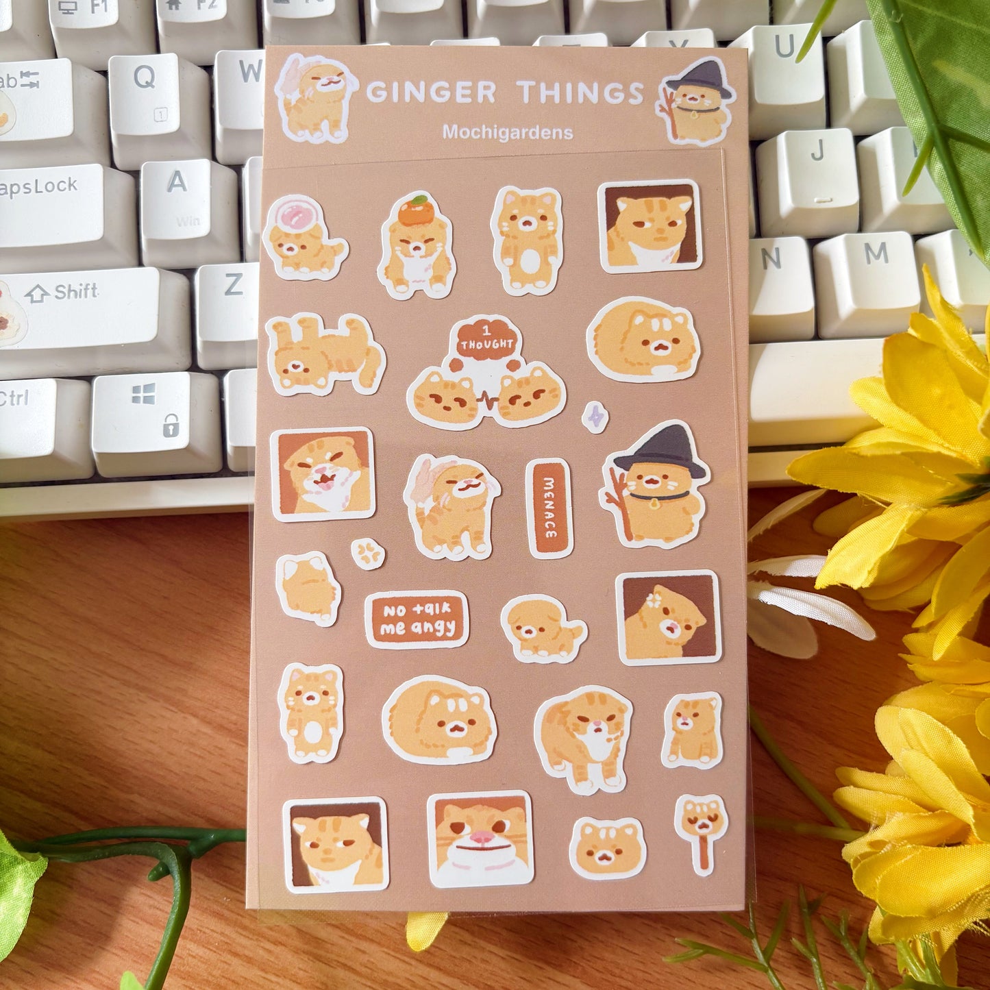 Cat Meme Bundle