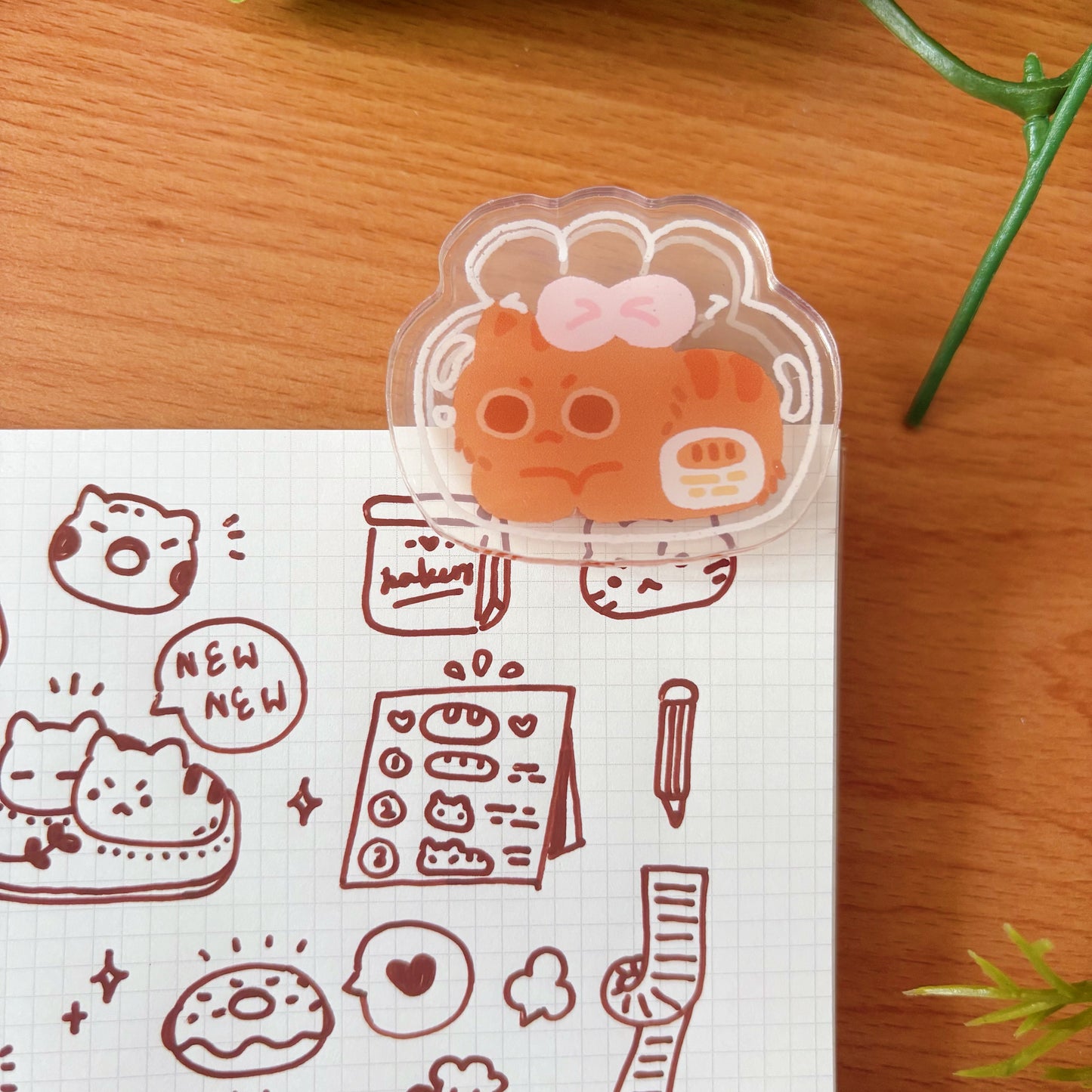 Assorted Acrylic Clips