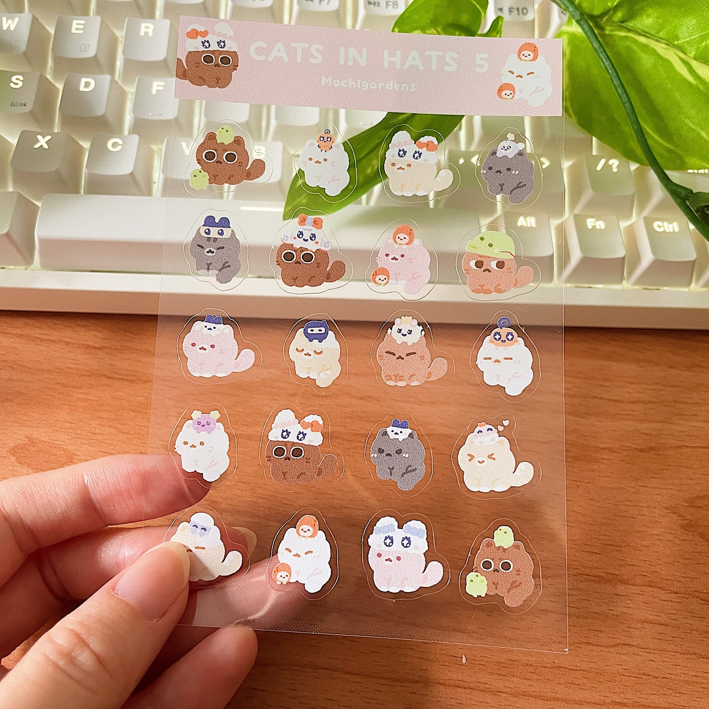 Cats in Hats 5 Transparent Sticker Sheet