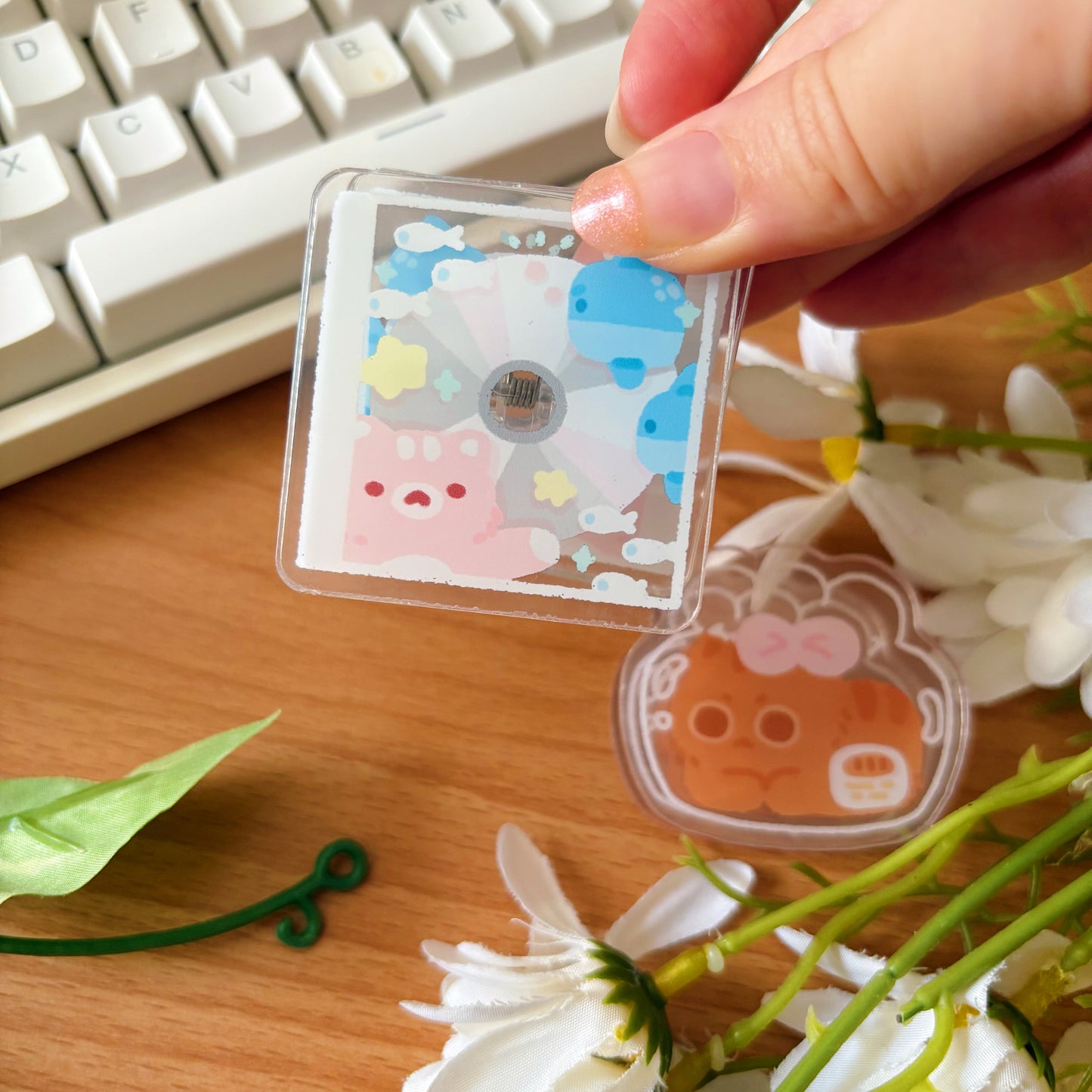 Assorted Acrylic Clips