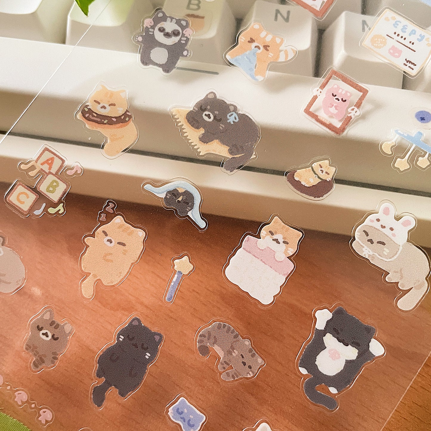 Eepy Kitties Transparent Sticker Sheet