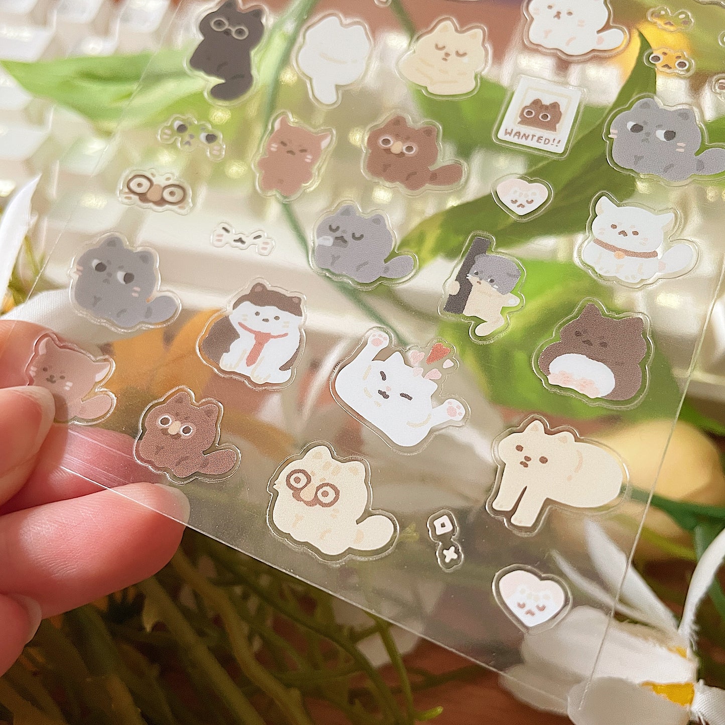 *Restocked* Silly Cats Transparent Sticker Sheet