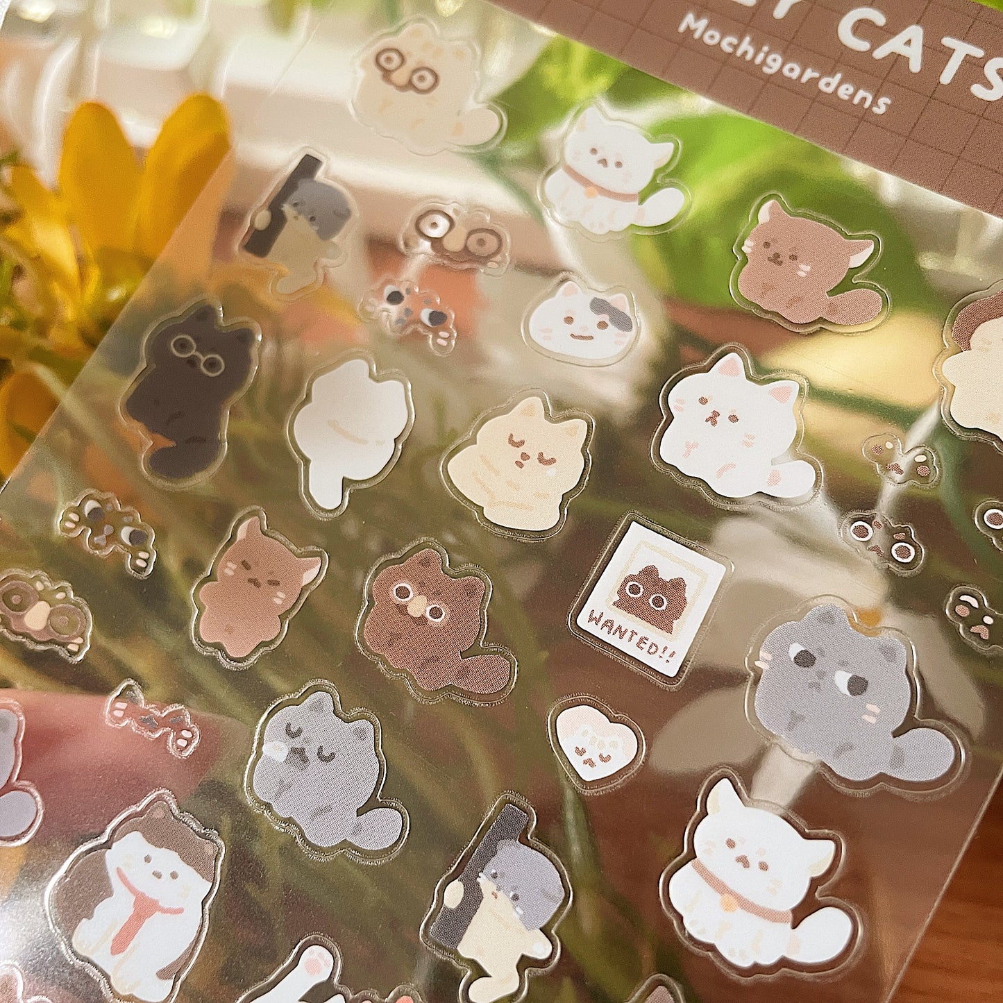 *Restocked* Silly Cats Transparent Sticker Sheet