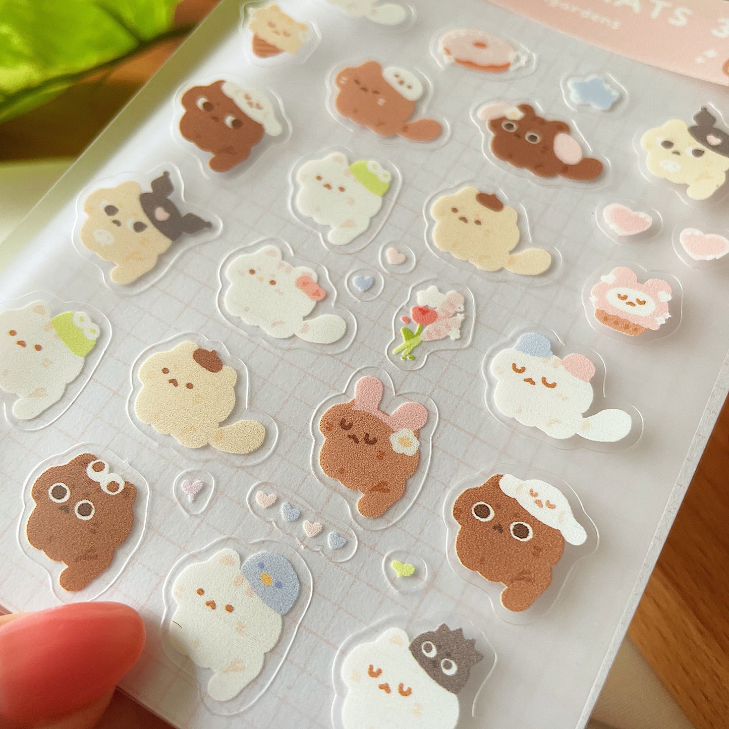 *Restocked* Cats in Hats 3 Transparent Sticker Sheet